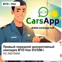 file_18238.jpg