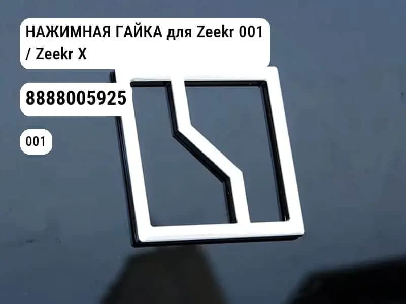 file_10081.jpg