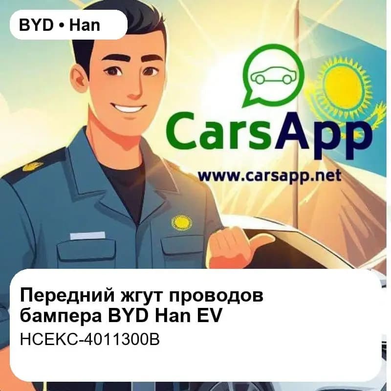 file_18395.jpg