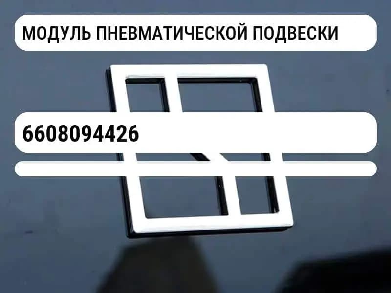 file_687.jpg