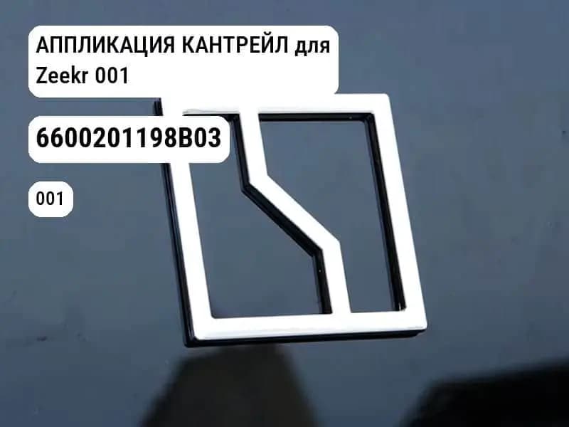 file_12031.jpg