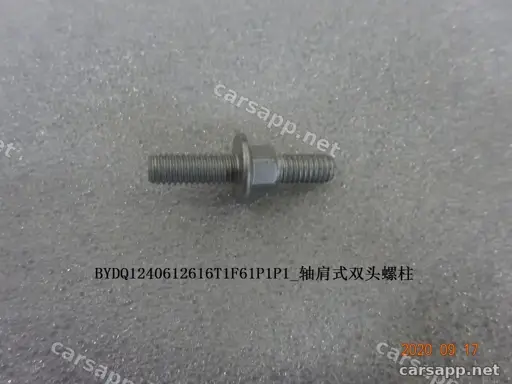 CarmindGlobal carsapp.net BYD TANG L DM 2025 (SRHC-Type 25) 13045528-00 BYDQ1240612616T1F61P1P1 image 1