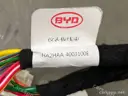 CarmindGlobal carsapp.net BYD QINPLUS DM-i 2024 14195899-00 14195899-00 image 1
