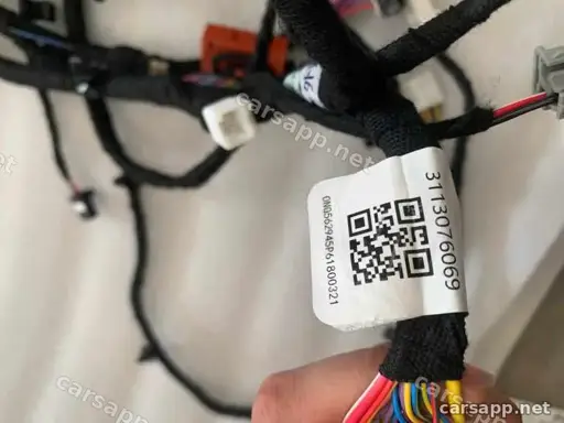 CarmindGlobal carsapp.net BYD QINPLUS DM-i 2024 14741179-00 14741179-00 image 1