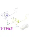 Жгут проводки переднего отсека в сборе для AITO M7, 4002010-SY30