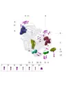 Кронштейн крепления тяги подвески для AITO M8 2025, 1001346-RQ01