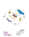 Задняя контурная подсветка левая для AVATR 12, 3787150-EE01