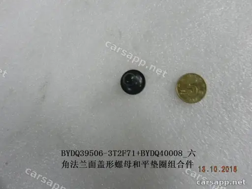 CarmindGlobal carsapp.net BYD SEALION06 EV 2025 (UGEB-30 type) 12543877-00 12543877-00 image 1
