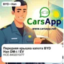 file_17882.jpg