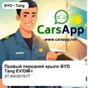 file_17907.jpg