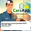 file_18307.jpg