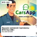 file_18442.jpg