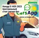 file_18725.jpg