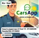 file_7768.jpg