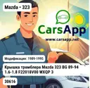 file_8089.jpg