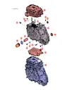 Двусторонняя шпилька для BYD Song DM-i 2024, 10586478-00