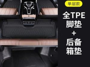 Однослойные полики, коврики в салон и багажник Honda e:NS1, TPE