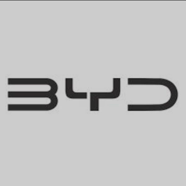 BYD прошивки(17), программа для русификации 2025 firmware
