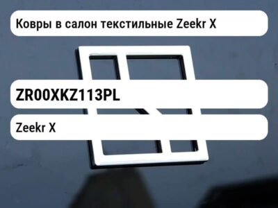 Ковры в салон текстильные Zeekr X