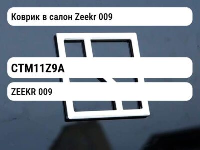 Коврик в салон Zeekr 009