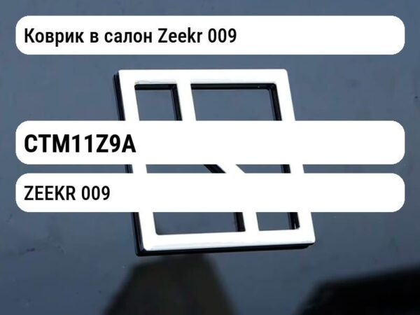Коврик в салон Zeekr 009