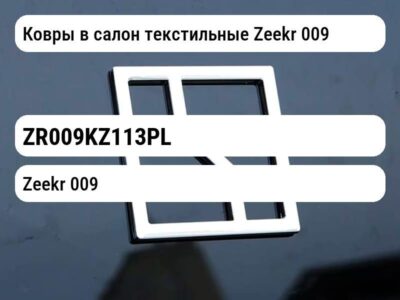 Ковры в салон текстильные Zeekr 009