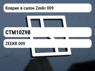 Коврик в салон Zeekr 009
