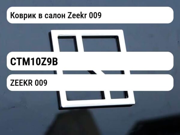 Коврик в салон Zeekr 009