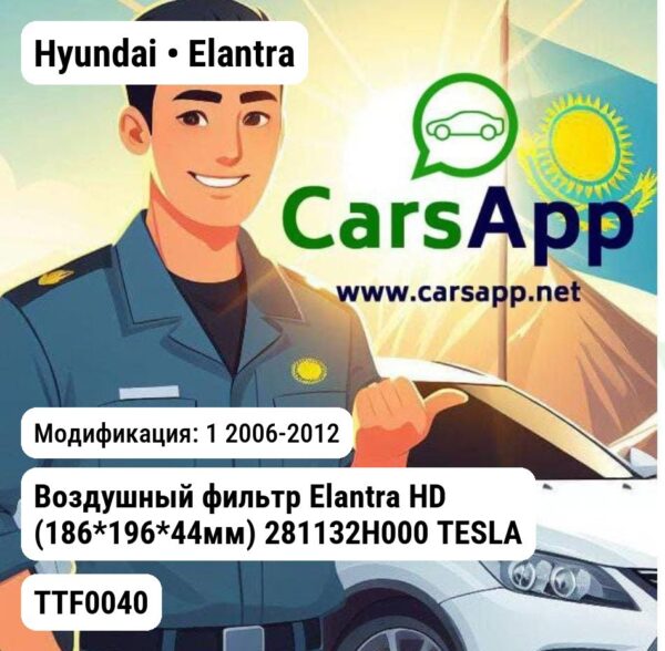Hyundai Elantra Воздушный фильтр Elantra HD (186*196*44мм) 281132H000 TESLA TECHNICS TTF0040 TTF0040 1