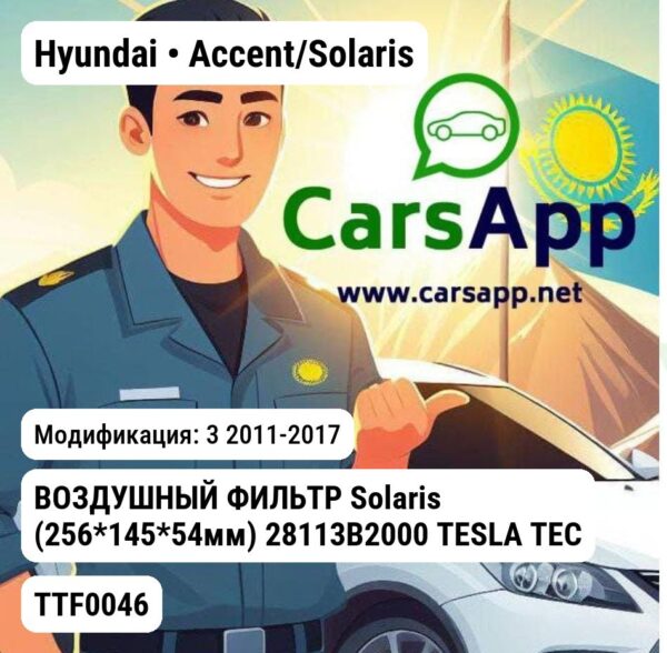 Hyundai Accent/Solaris ВОЗДУШНЫЙ ФИЛЬТР Solaris (256*145*54мм) 28113B2000 TESLA TECHNICS TTF0046 TTF0046 3