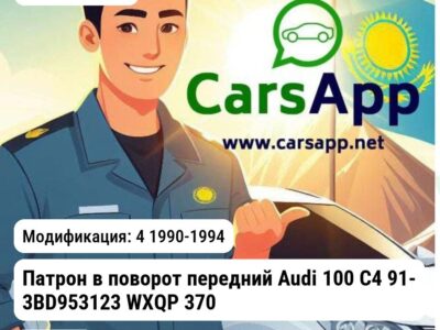 AUDI 100 Патрон в поворот передний Audi C4 91- 3BD953123 WXQP 370169 370169 4