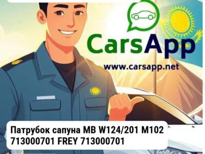 MERCEDES-BENZ E-Class Патрубок сапуна MB W124/201 M102 713000701 FREY 713000701