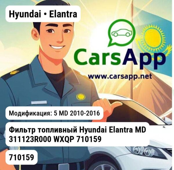Hyundai Elantra Фильтр топливный Hyundai Elantra MD 311123R000 WXQP 710159 710159 5 MD