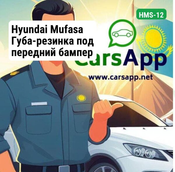 Hyundai Mufasa Губа-резинка под передний бампер (оригинал) HMS-12