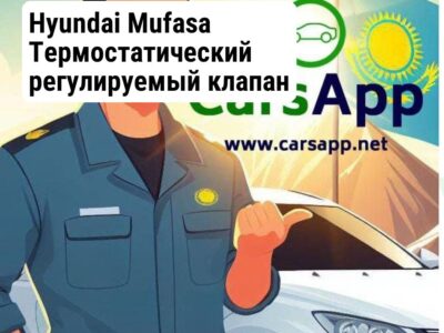 Hyundai Mufasa Термостатический регулируемый клапан системы охлаждения (оригинал) HMS-109