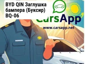 BYD QIN Заглушка бампера (Буксир) BQ-06