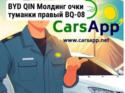 BYD QIN Молдинг очки туманки правый BQ-08