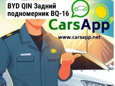 BYD QIN Задний подномерник BQ-16