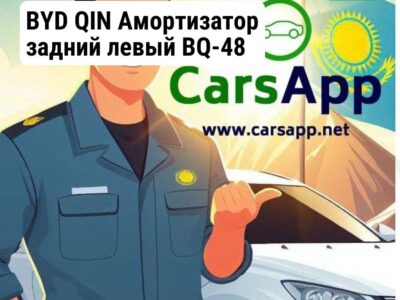 BYD QIN Амортизатор задний левый BQ-48