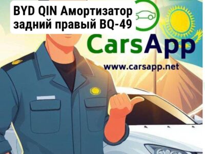 BYD QIN Амортизатор задний правый BQ-49