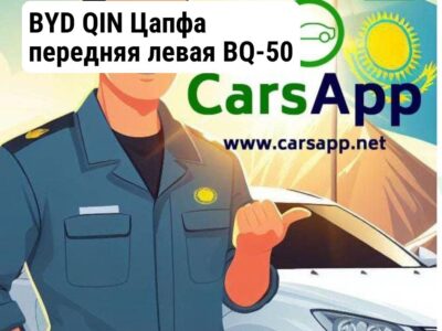 BYD QIN Цапфа передняя левая BQ-50