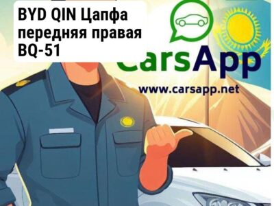 BYD QIN Цапфа передняя правая BQ-51