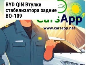 BYD QIN Втулки стабилизатора задние BQ-109