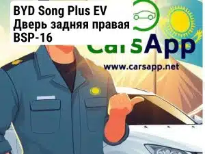BYD Song Plus EV Дверь задняя правая BSP-16