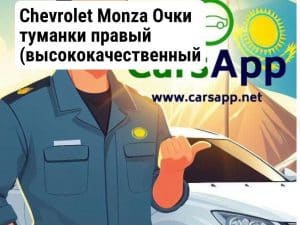 Chevrolet Monza Очки туманки правый (высококачественный дубликат) CM-11