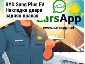 BYD Song Plus EV Накладка двери задняя правая (оригинал) BSP-48