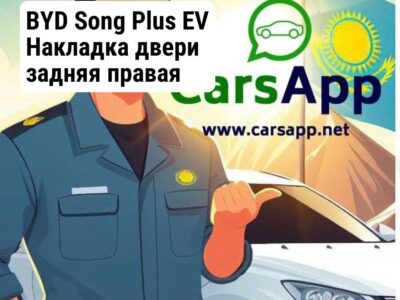 BYD Song Plus EV Накладка двери задняя правая (оригинал) BSP-48