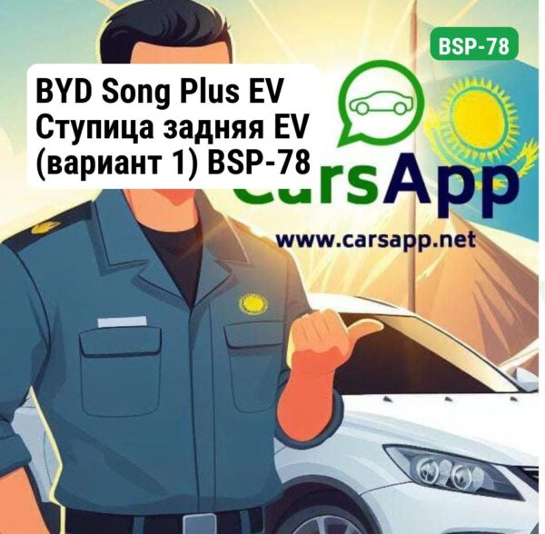 BYD Song Plus EV Ступица задняя EV (вариант 1) BSP-78