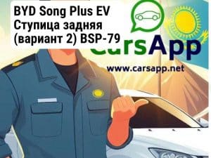 BYD Song Plus EV Ступица задняя (вариант 2) BSP-79