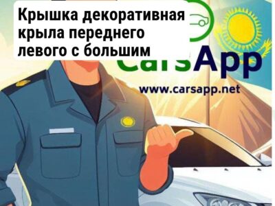 Крышка декоративная крыла переднего левого с большим отверстием для Lixiang L8 и L9
